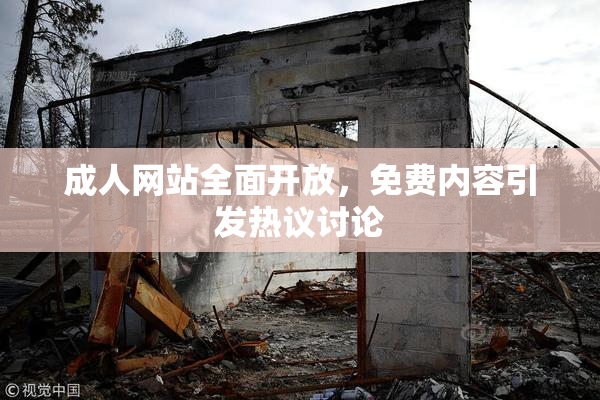 成人网站全面开放，免费内容引发热议讨论