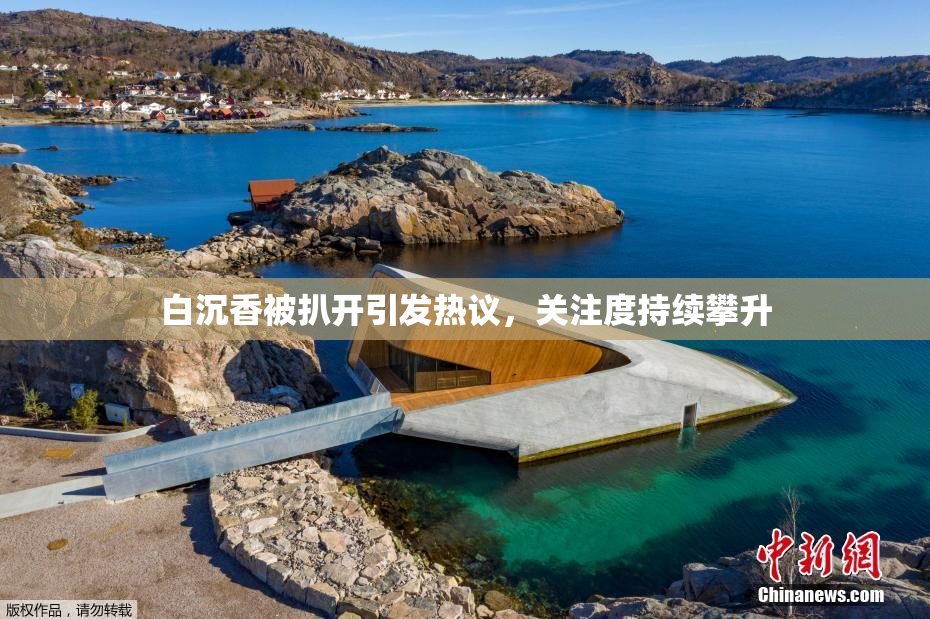 白沉香被扒开引发热议，关注度持续攀升
