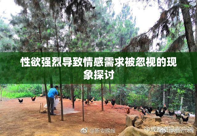 性欲强烈导致情感需求被忽视的现象探讨