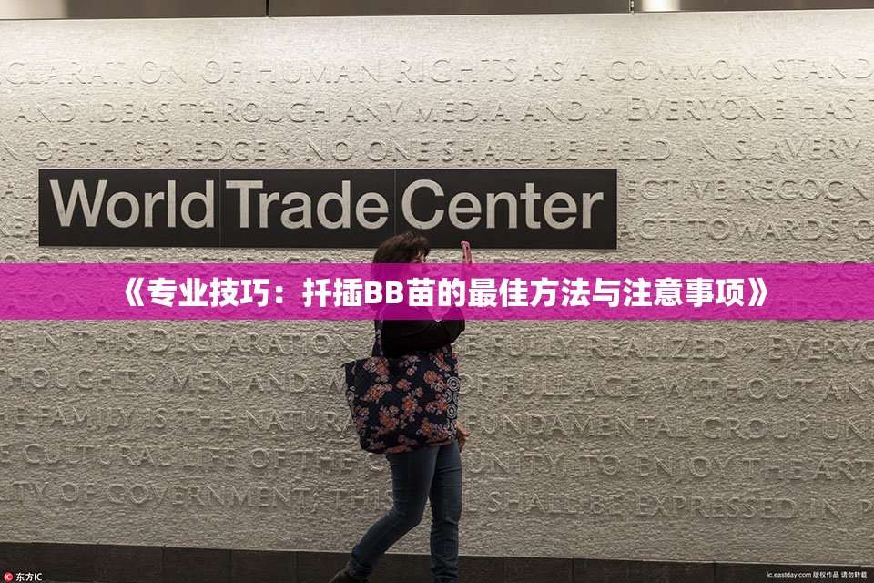《专业技巧：扦插BB苗的最佳方法与注意事项》