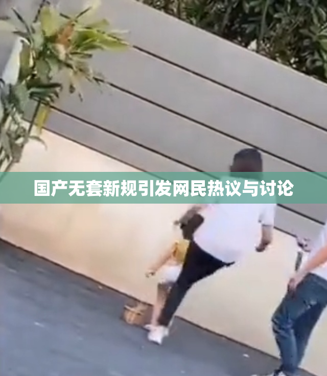 国产无套新规引发网民热议与讨论