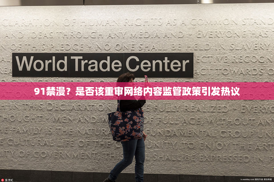 91禁漫？是否该重审网络内容监管政策引发热议