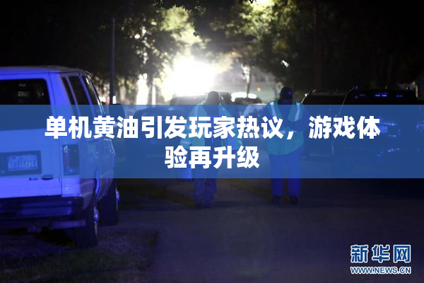 单机黄油引发玩家热议，游戏体验再升级