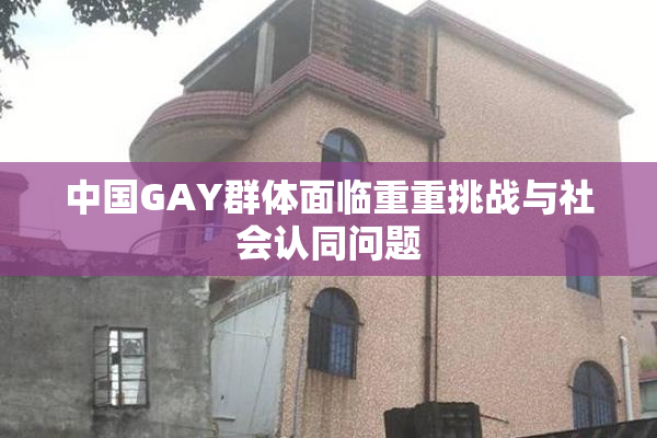 中国GAY群体面临重重挑战与社会认同问题