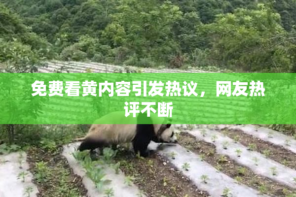 免费看黄内容引发热议，网友热评不断