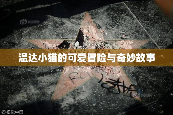 温达小猫的可爱冒险与奇妙故事