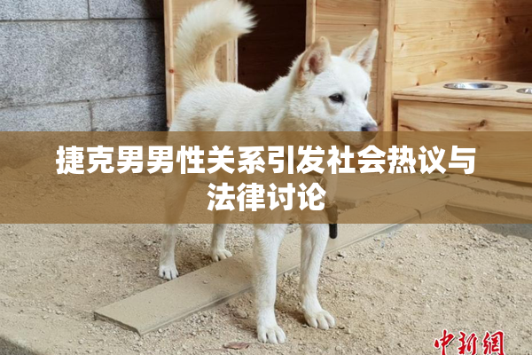 捷克男男性关系引发社会热议与法律讨论