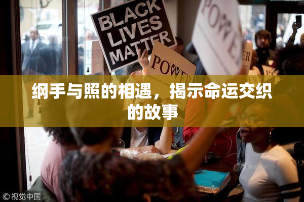 纲手与照的相遇，揭示命运交织的故事
