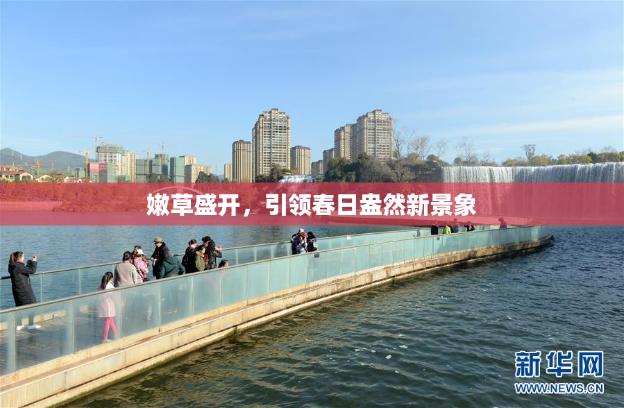 嫩草盛开，引领春日盎然新景象