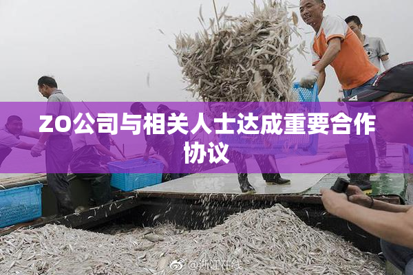 ZO公司与相关人士达成重要合作协议