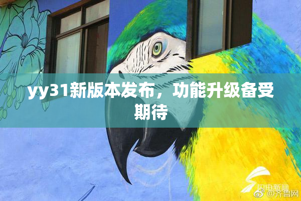 yy31新版本发布，功能升级备受期待