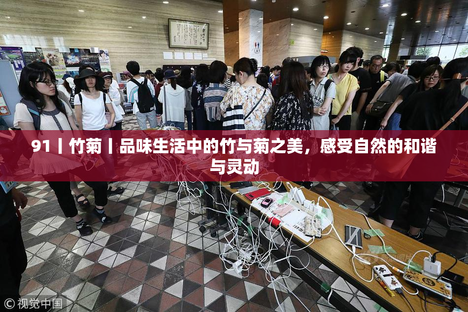 91丨竹菊丨品味生活中的竹与菊之美，感受自然的和谐与灵动