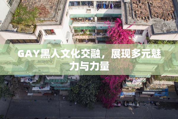 GAY黑人文化交融，展现多元魅力与力量