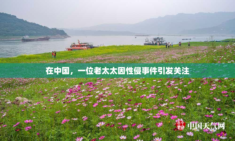 在中国，一位老太太因性侵事件引发关注