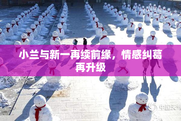 小兰与新一再续前缘，情感纠葛再升级