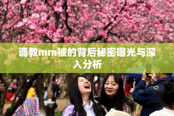 调教mm被的背后秘密曝光与深入分析