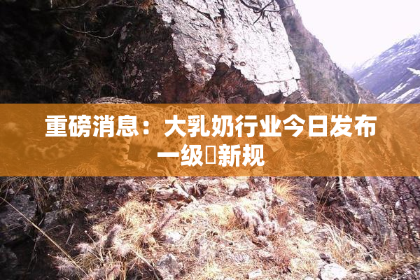 重磅消息：大乳奶行业今日发布一级婬新规