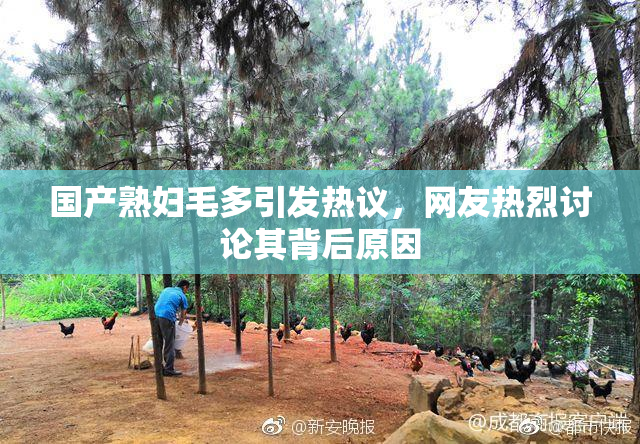 国产熟妇毛多引发热议，网友热烈讨论其背后原因