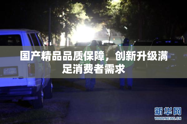 国产精品品质保障，创新升级满足消费者需求
