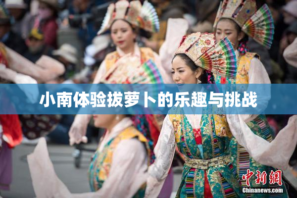 小南体验拔萝卜的乐趣与挑战
