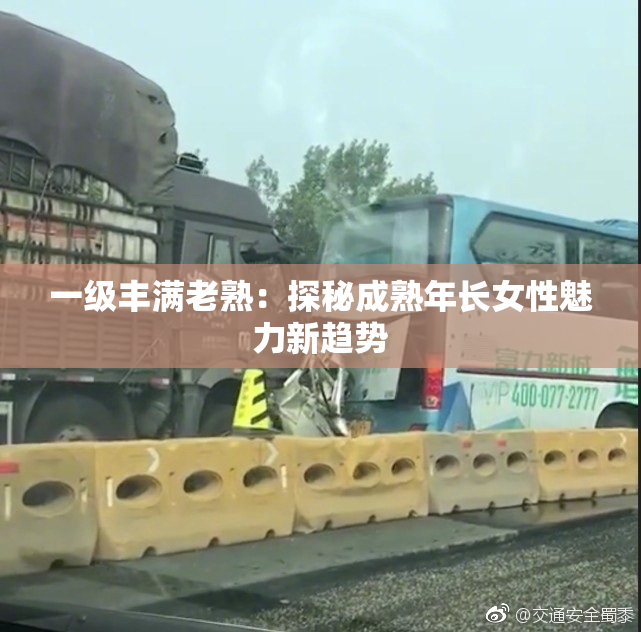 一级丰满老熟：探秘成熟年长女性魅力新趋势