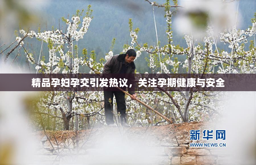 精品孕妇孕交引发热议，关注孕期健康与安全