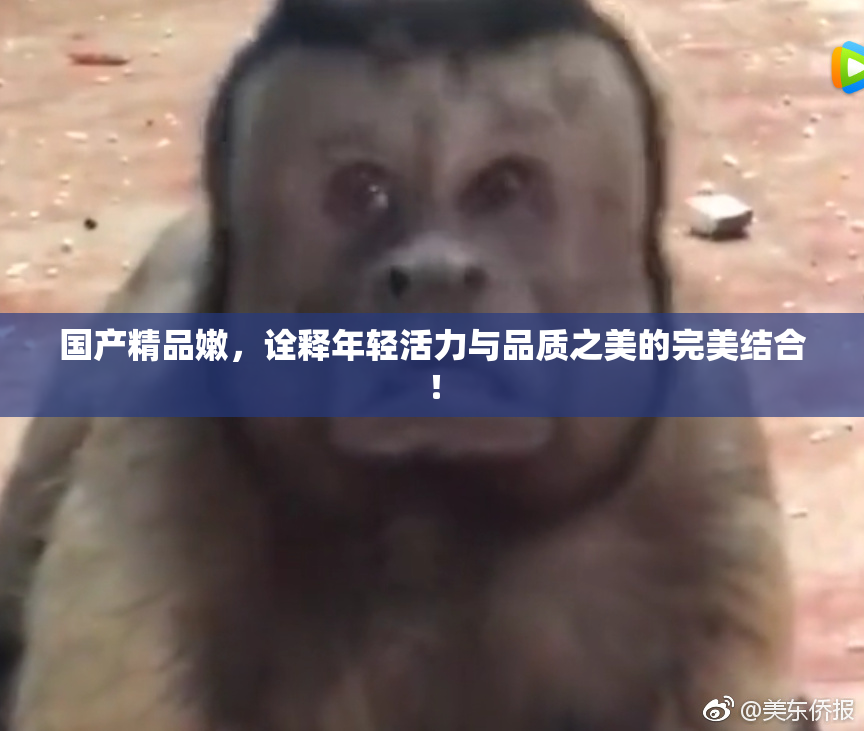 国产精品嫩，诠释年轻活力与品质之美的完美结合！