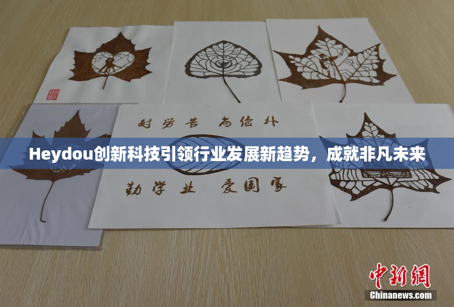 Heydou创新科技引领行业发展新趋势，成就非凡未来