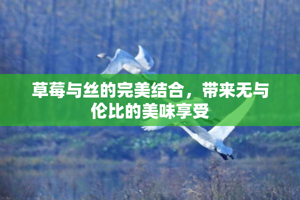 草莓与丝的完美结合，带来无与伦比的美味享受