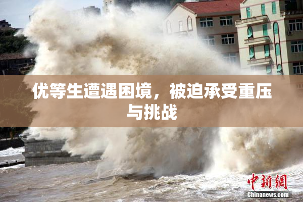 优等生遭遇困境，被迫承受重压与挑战