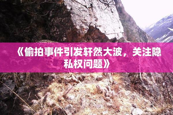 《偷拍事件引发轩然大波，关注隐私权问题》
