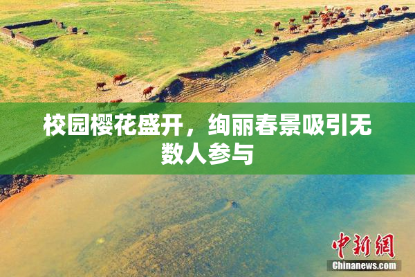 校园樱花盛开，绚丽春景吸引无数人参与