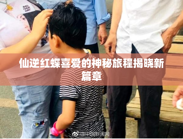 仙逆红蝶喜爱的神秘旅程揭晓新篇章