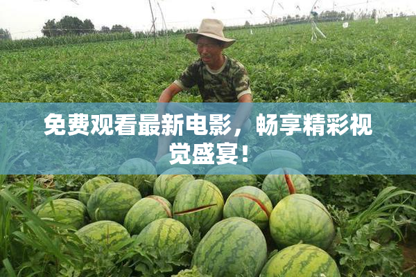 免费观看最新电影，畅享精彩视觉盛宴！