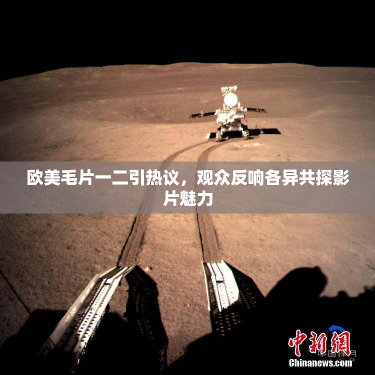 欧美毛片一二引热议，观众反响各异共探影片魅力