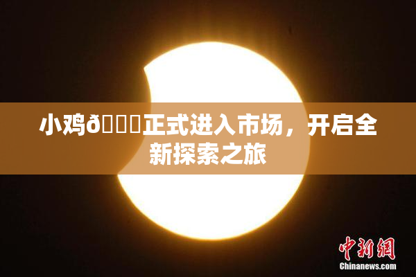 小鸡🐔正式进入市场，开启全新探索之旅