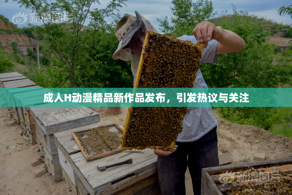 成人H动漫精品新作品发布，引发热议与关注