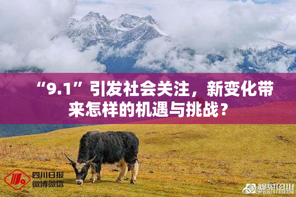 “9.1”引发社会关注，新变化带来怎样的机遇与挑战？