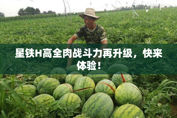 星铁H高全肉战斗力再升级，快来体验！