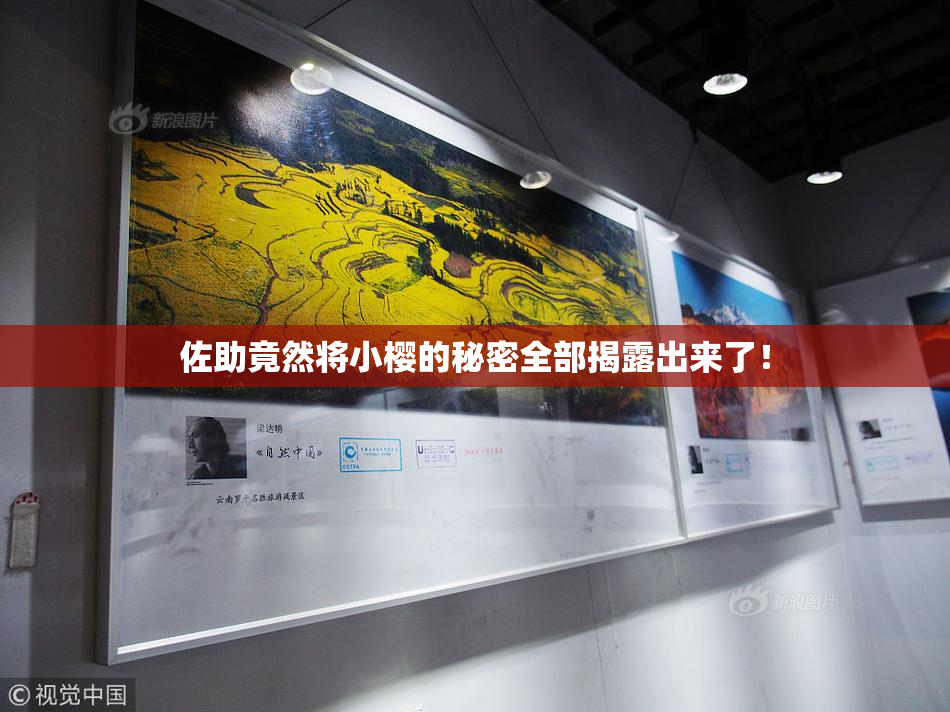 佐助竟然将小樱的秘密全部揭露出来了！