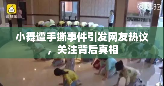 小舞遭手撕事件引发网友热议，关注背后真相
