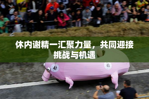 休内谢精一汇聚力量，共同迎接挑战与机遇