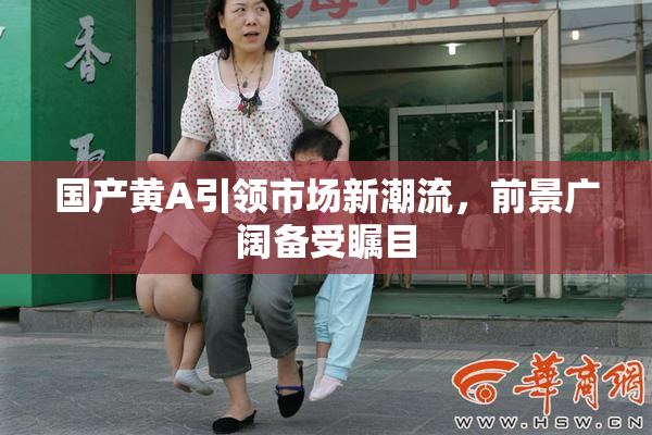 国产黄A引领市场新潮流，前景广阔备受瞩目