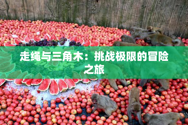 走绳与三角木：挑战极限的冒险之旅