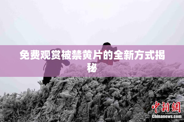 免费观赏被禁黄片的全新方式揭秘