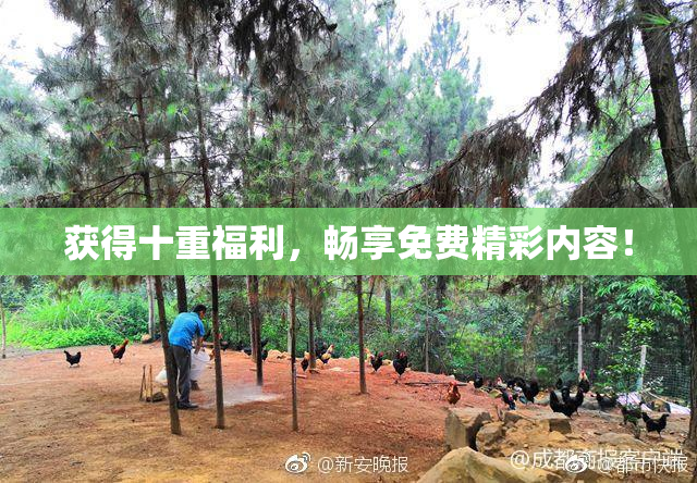 获得十重福利，畅享免费精彩内容！
