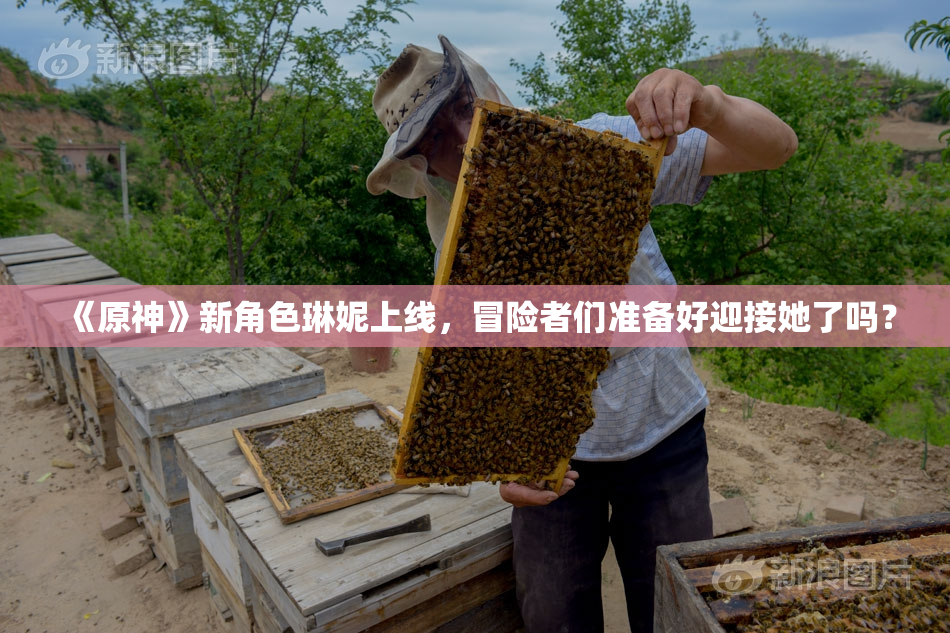 《原神》新角色琳妮上线，冒险者们准备好迎接她了吗？