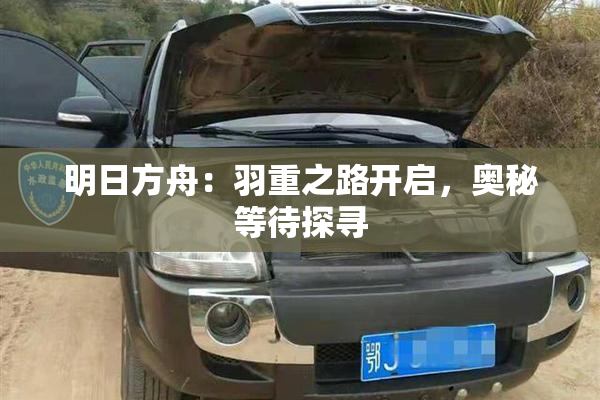 明日方舟：羽重之路开启，奥秘等待探寻