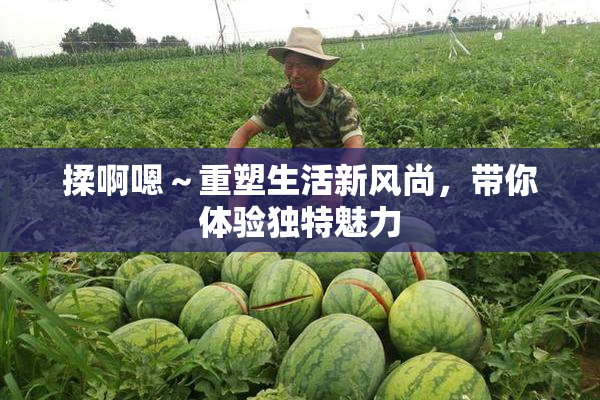 揉啊嗯～重塑生活新风尚，带你体验独特魅力