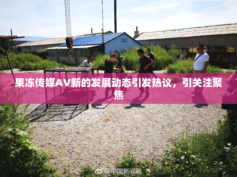 果冻传媒AV新的发展动态引发热议，引关注聚焦